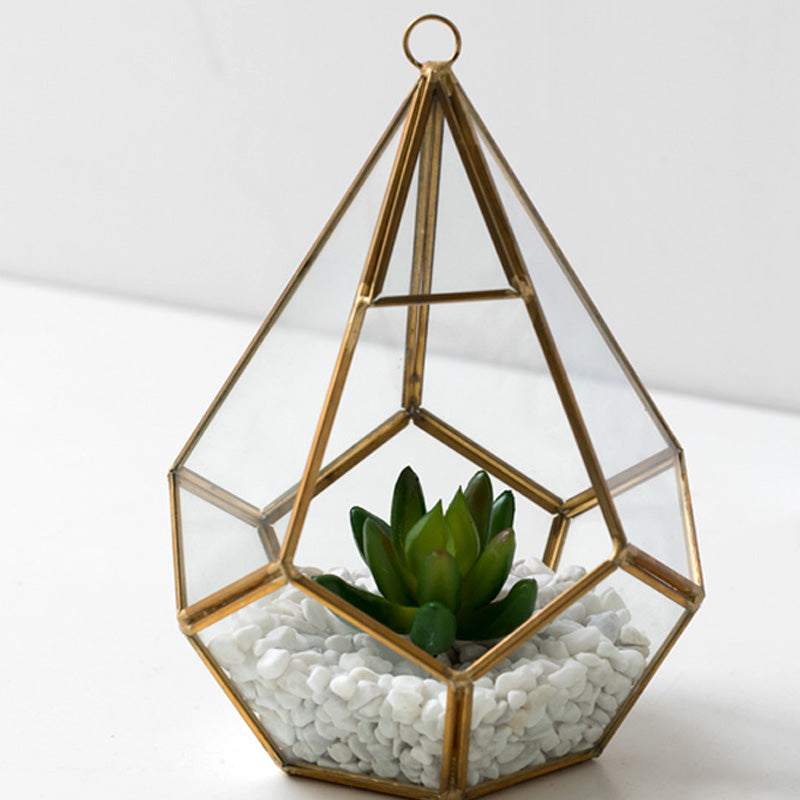 Home Succulent Bonsai Decoration Plant For Indoor Table Display