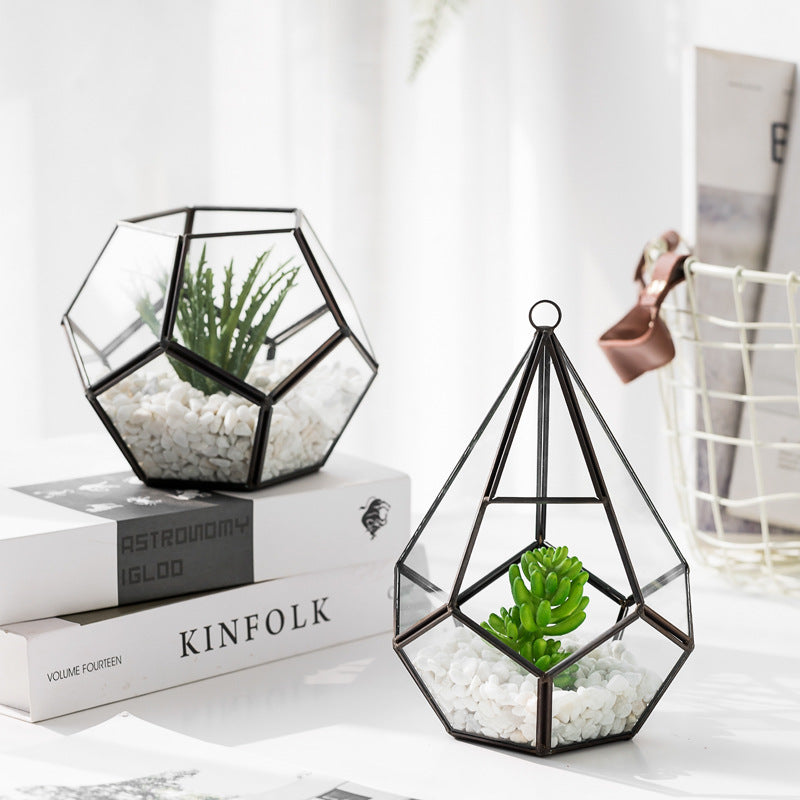 Home Succulent Bonsai Decoration Plant For Indoor Table Display