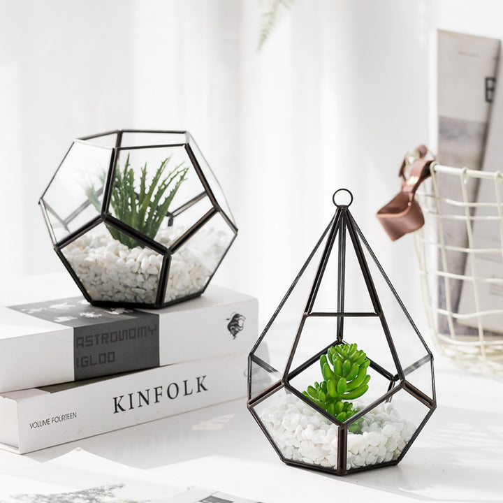 Home Succulent Bonsai Decoration Plant For Indoor Table Display