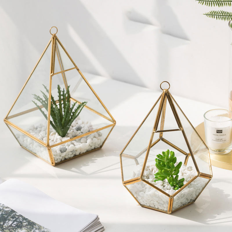 Home Succulent Bonsai Decoration Plant For Indoor Table Display